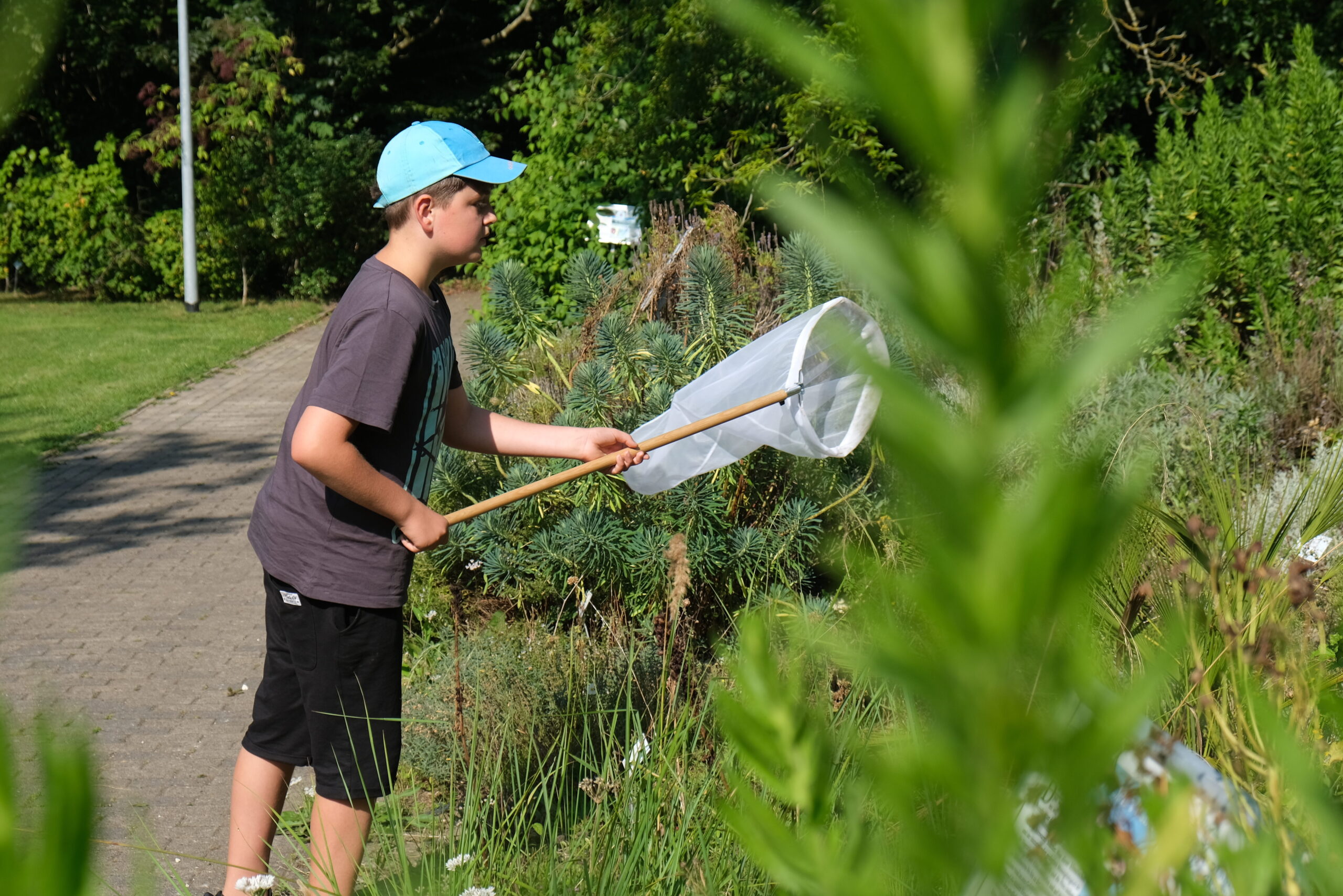 Ein Teilnehmer der Sommerschule beim Keschern von Insekten im Botanischen Garten Kiel